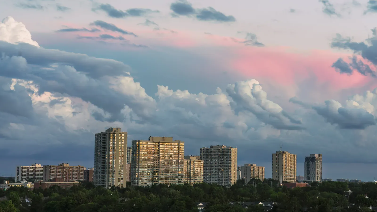 Brampton apartment towers at dusk seen from Chinguacousy Park
